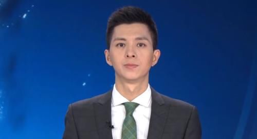 新面孔|央视新面孔王言站稳脚跟，典型新闻播音腔，整体能力被看好