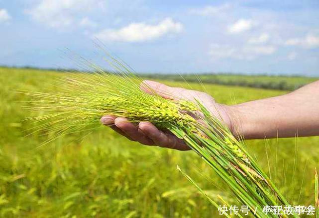 馒头出锅的时候瘪了,是怎么回事有什么说法