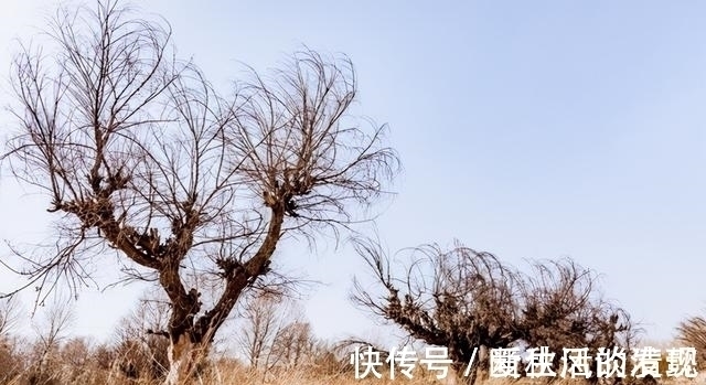 上联$乾隆出上联:“鼠无大小皆称老”,纪晓岚出一下联,简直是绝对