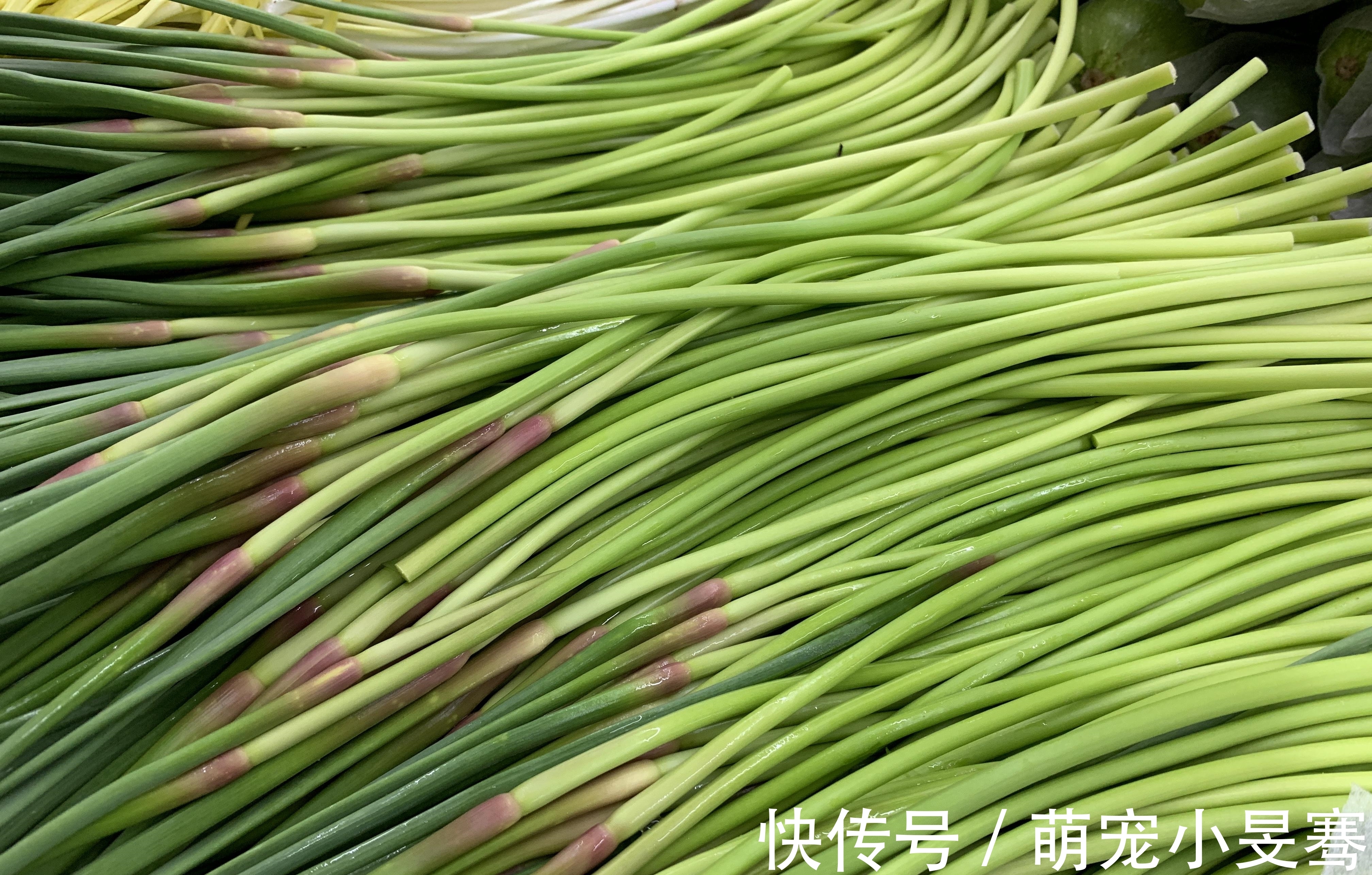 蒜苔|买蒜苔，要分清“红帽”和“黄帽”，区别挺大，买错难吃还费钱