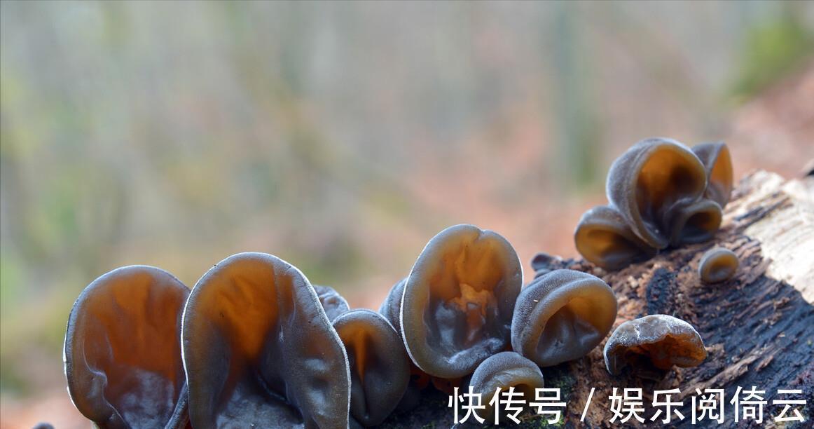 身体|这3种蔬菜被列入“不吃”行列，能不吃就不吃，吃多了对身体不好