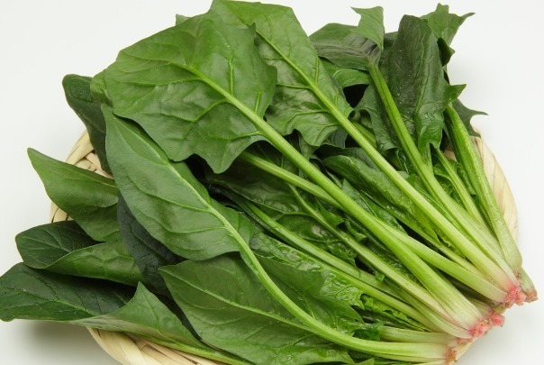 眼睛|护眼只知道吃胡萝卜5种食物对眼睛也很好,你竟然还不知道