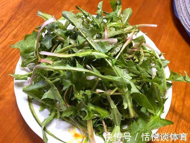 泡水|这菜浑身都是宝,可惜很多人当草,经常上火多吃点,泡水喝也特香
