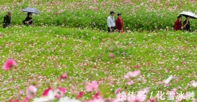 朋友缘|11月上旬开始，逆风翻盘富贵堆满屋，财神贵人喜登门的四大属相