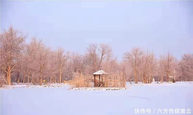 胡杨林|金塔下雪了，我们一起去金塔沙漠胡杨林踏雪可好