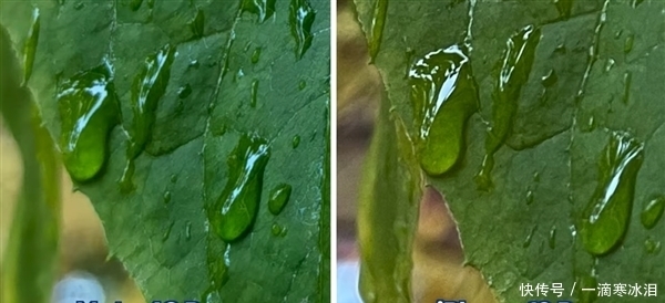 Mate40|旗舰拍照对决!iPhone 12 Pro和华为Mate40 Pro你更看好谁?