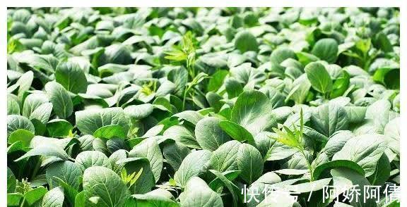 乌梅|肠道“推粪机”找到了,便秘时多吃点,排出黑臭宿便,瘦到两位数