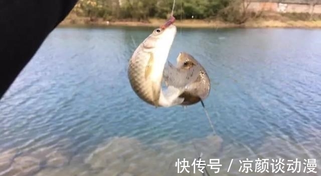 天冷钓鲫鱼，线组要用多细才有口？很多人其实都搞错了！
