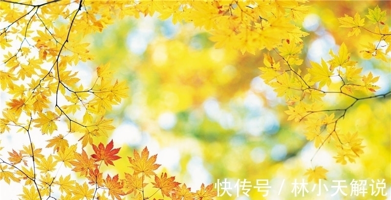 悲秋!寒露,在诗词中感受凉凉的秋意,赏析范仲淹的千古名篇《苏幕遮》