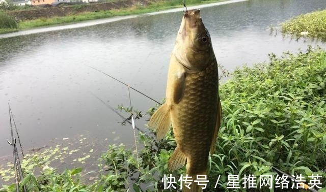 蚯蚓挂钩的6个小技巧,学会后渔获多多,一条接着一条