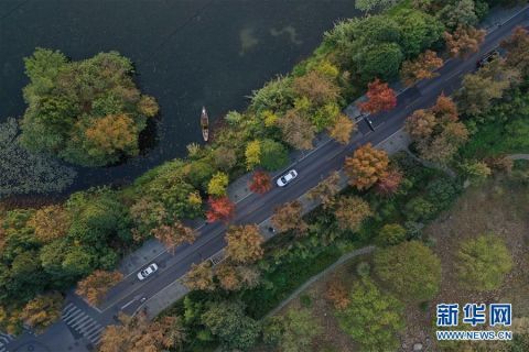  夕阳下的杭州西湖景|西湖秋韵