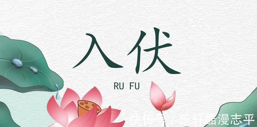 解暑|三伏天,多吃这6种食物,好吃不贵,解暑清补,应季而食好入伏