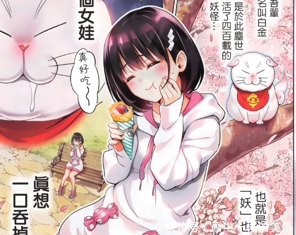 出包王女 作者新连载 少年变少女 这个妖怪不一般 快资讯 出包王女 作者新连载 少年变少女 这个妖怪不一般 快资讯
