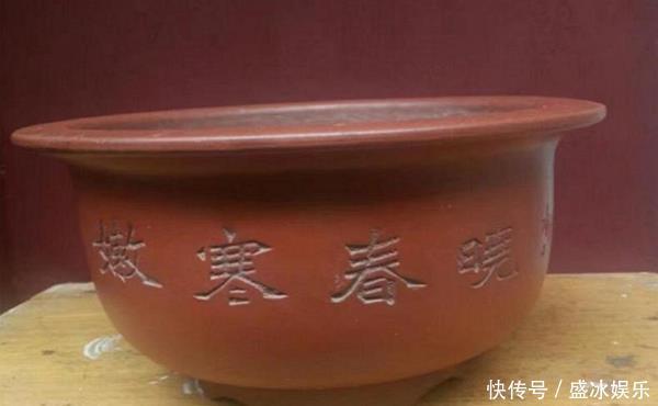 花盆也有讲究,用对了花儿长势旺,用错可就欲哭无泪了