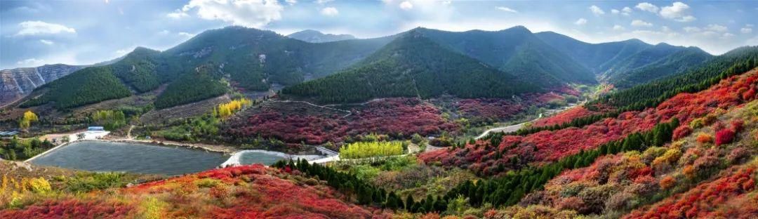 非物质文化遗产|伏羊节来啦，来吃“咩”？