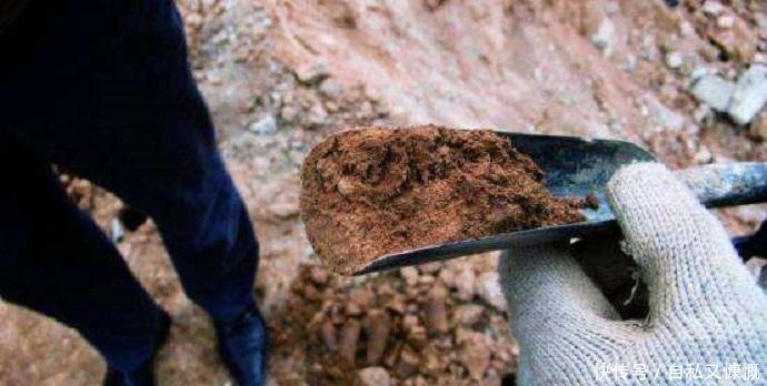 史上最执着的盗墓贼,住茅草房,花20年打洞,后面盗走所有文物