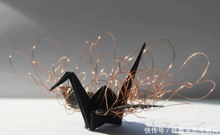 重样|每天折一只千纸鹤,他坚持了1000天不重样,女友被感动到梨花带雨
