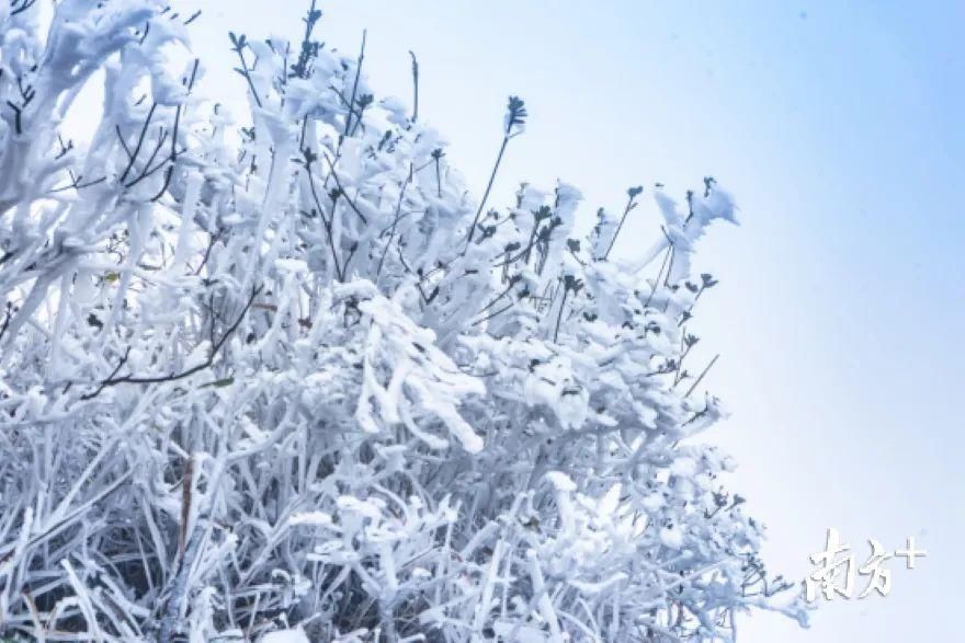 缓慢|广东下雪了？下周深圳缓慢升温+分散小雨