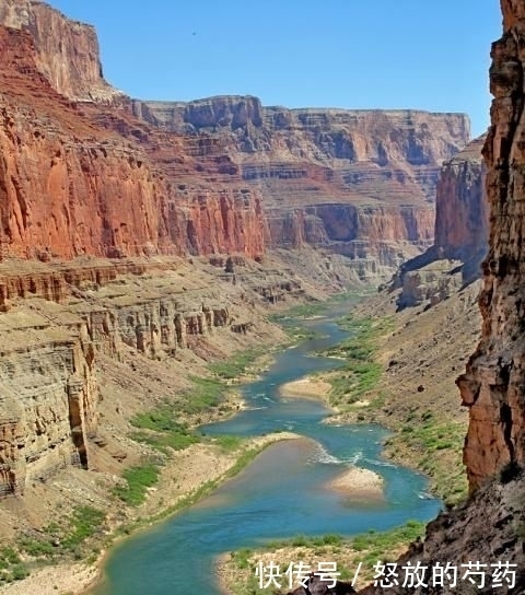 精髓|化氏饵料归类：最全化氏饵料配方大全【转载分享】（精髓）