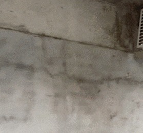 |搞笑GIF: 看完整个人都不好了 万万没想到这样的结局