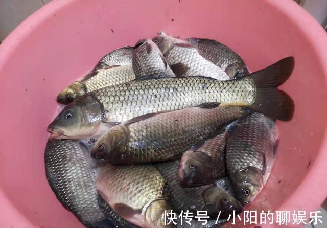 蓑笠哥|冬天找钓位三原则,符合就是鱼儿越冬之地