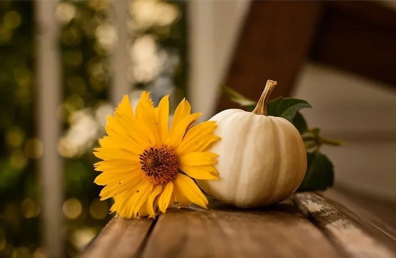 甘遂|1种散结节最好用的成药!甲状腺结节、乳腺结节,淋巴结节都可用