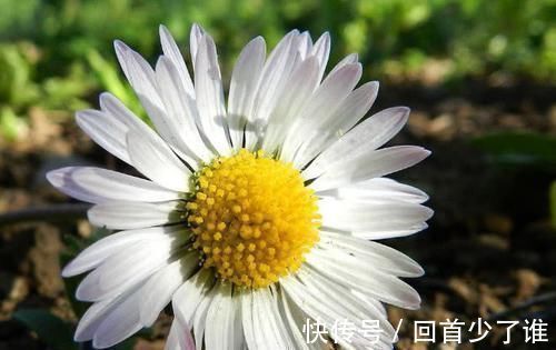 胃溃疡|感染了幽门螺杆菌,一定要多吃“它”,杀菌养胃,胃慢慢变好