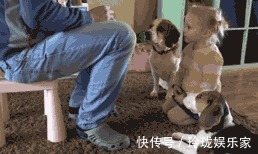 带娃|90后带娃新姿势走红网络,看完不禁感叹,果然是“不靠谱”爸妈