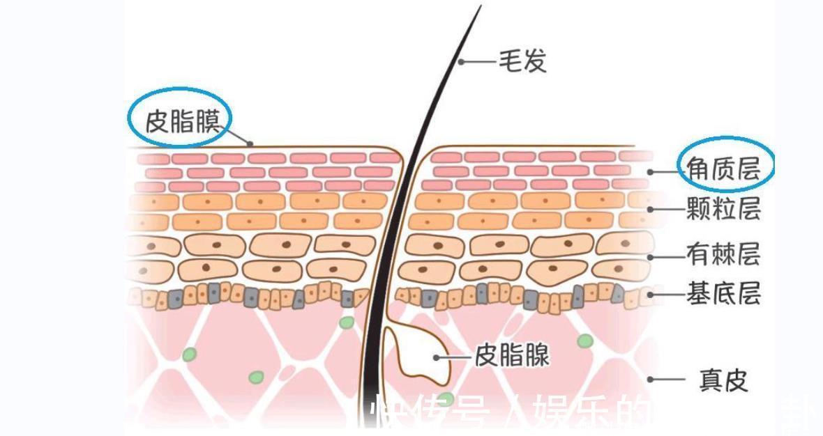 防晒值|女人涂防晒霜要牢记3个“不要”，不然涂了也白涂！很多人忽视了