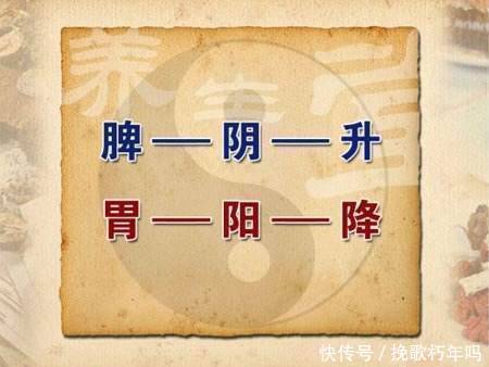 千古调理脾胃第一方7味药,健脾胃,补五脏,全面恢复脾胃功能