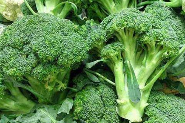 黄瓜|西兰花好吃又营养,但要牢记4大禁忌,不然没病找病,尤其是老人