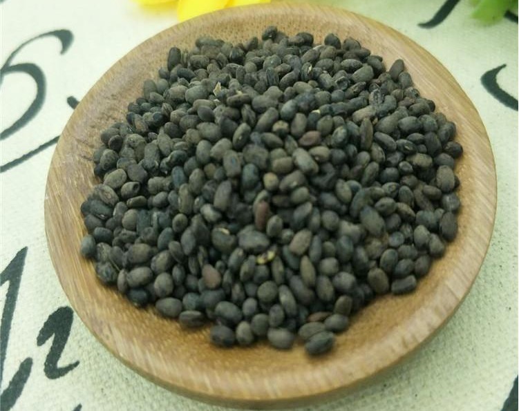 陈海蜇|一个泡酒的良方,4味药相配,共治手足麻木、半身不遂、瘫痪