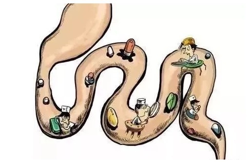 山药|吃一次刮一整天的油！春节吃出来的赘肉、血脂统统吃回去