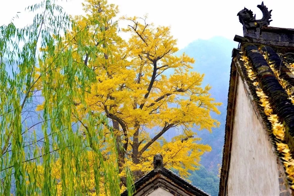 健康,是你最大的责任!