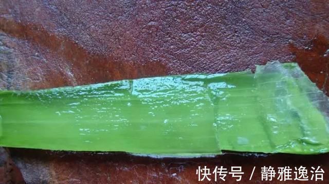 施肥|10年芦荟老桩，做成盆景超级好看，观赏价值特别高