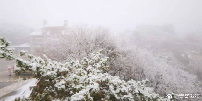 崂山|青岛·风情 崂山迎来12月初雪！