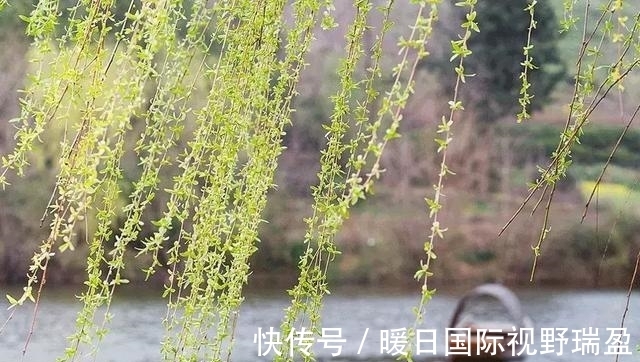 世界读书日$中国最美的十本书,一生至少读一次