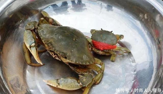 在三门“舞爪横行”的青蟹,到了最好吃的时候啦
