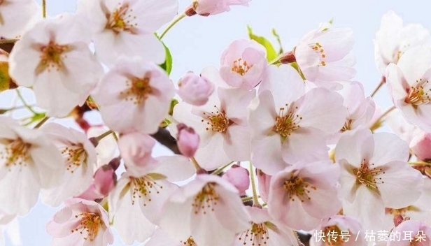 财运|11月财运一鸣惊人，日子越过越顺畅的3生肖