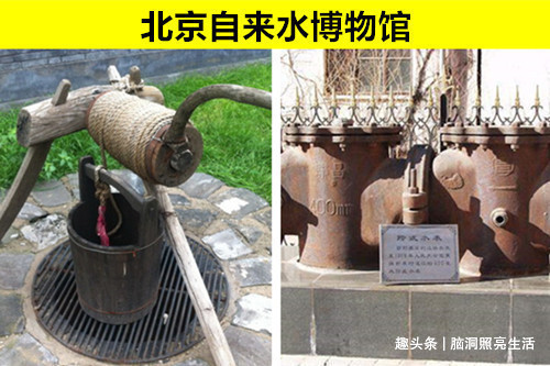 蟑螂 “怪異”的博物館由于某種原因,而建造的7個奇怪的博物館