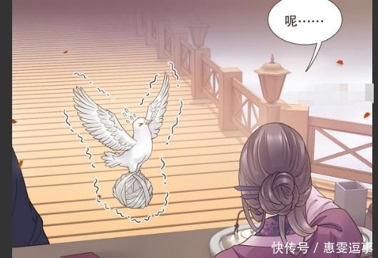 发号施令|代嫁丞相:诸葛军事小信鸽很命苦,手下犯错不处罚,有颜值撑着!