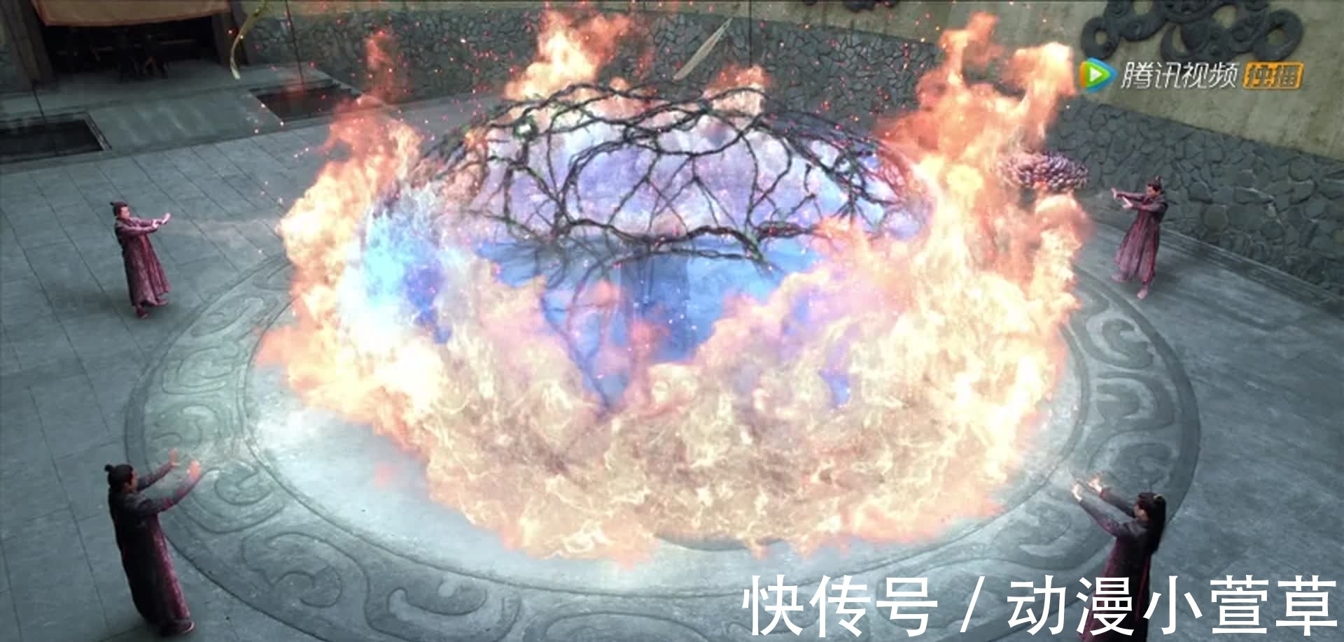 玉小刚|斗罗大陆:唐三败给炽火后被大师骂作废物魂师!原著形象彻底崩塌