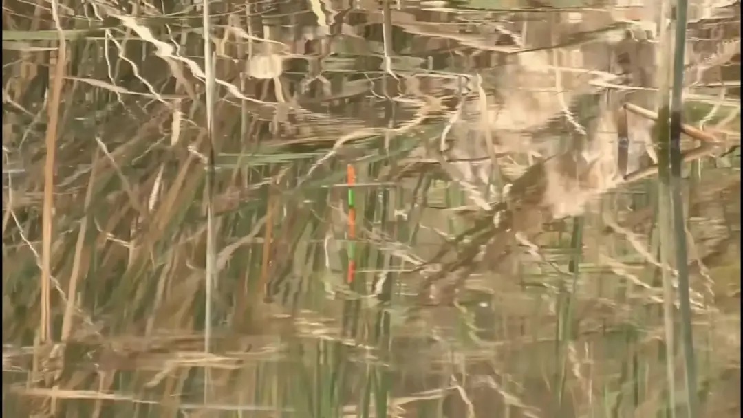 冬钓鲫鱼的“三大注意”,能做到就能保证基本的鱼获