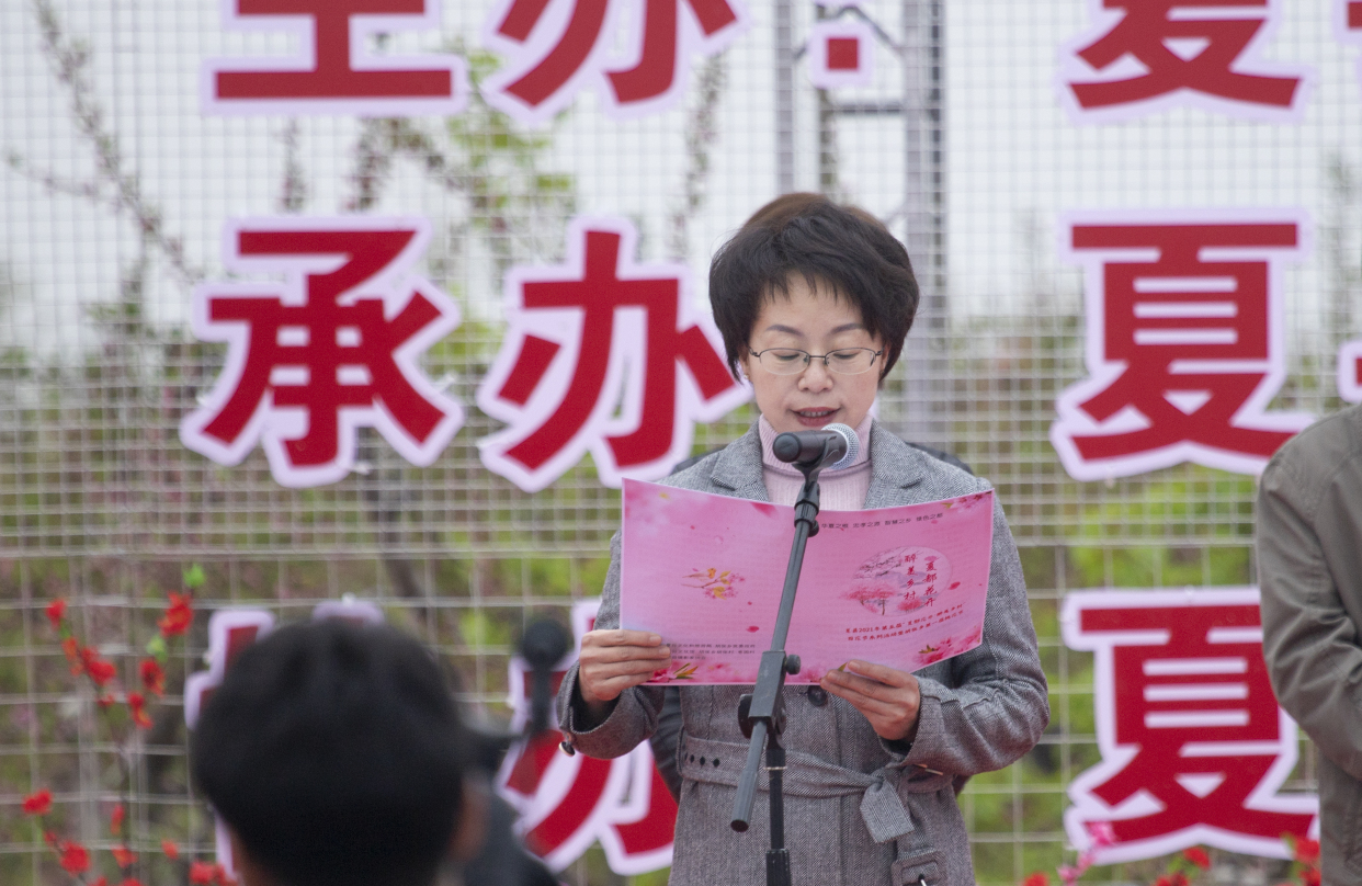 夏县2021“夏都花开 醉美乡村”胡张乡首届桃花节正式开幕