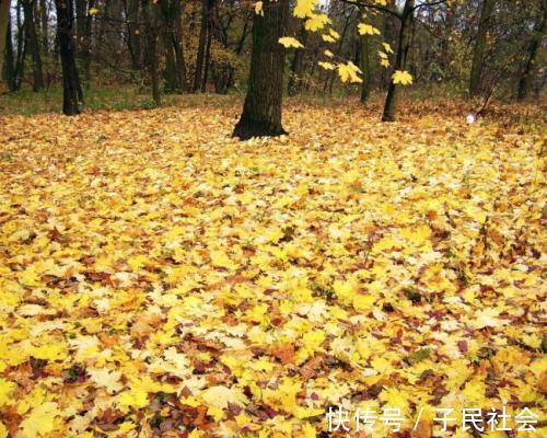 治疗|儿子不给癌症父亲手术,病危又选择放弃,为什么却说是孝顺