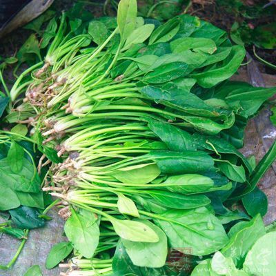 健康|糖尿病吃什么蔬菜健康以下15种蔬菜健康营养,适当多吃