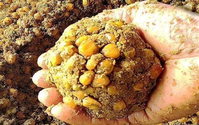 钓鱼窝料投掷了不少,怎么判断发窝了呢