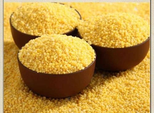 此物|小米粥虽好,但吃完后,不能碰此物,得忌口,告诉家人