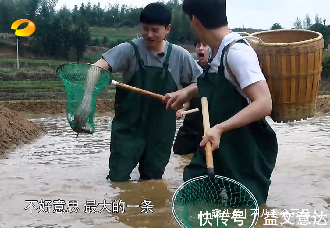 《向往》造假嚴(yán)重蘿卜現(xiàn)種的，魚塘現(xiàn)挖的，全靠工作人員搞衛(wèi)生