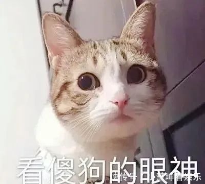 我一个人|情侣头像丨爱僧不爱紫衣僧